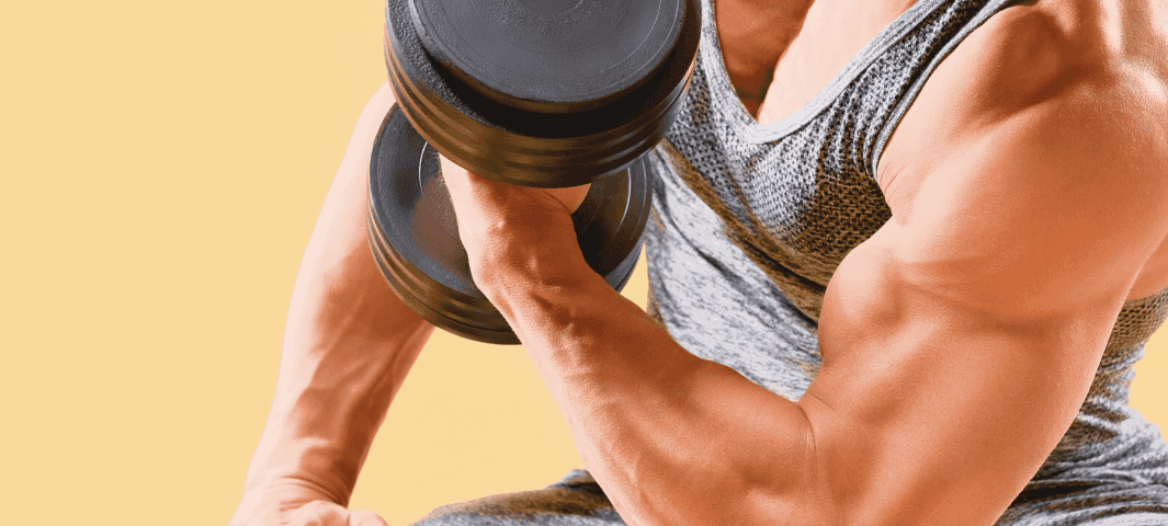 Dumbbell Routine (Home or Gym)